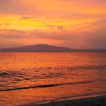 Zoma In Thassos *